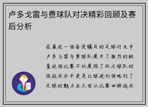卢多戈雷与费球队对决精彩回顾及赛后分析